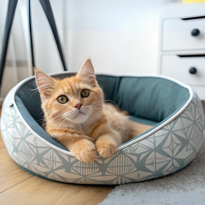 Pet Beds