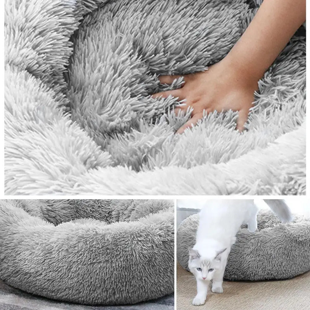 Washable Heated Cat Bed with USB