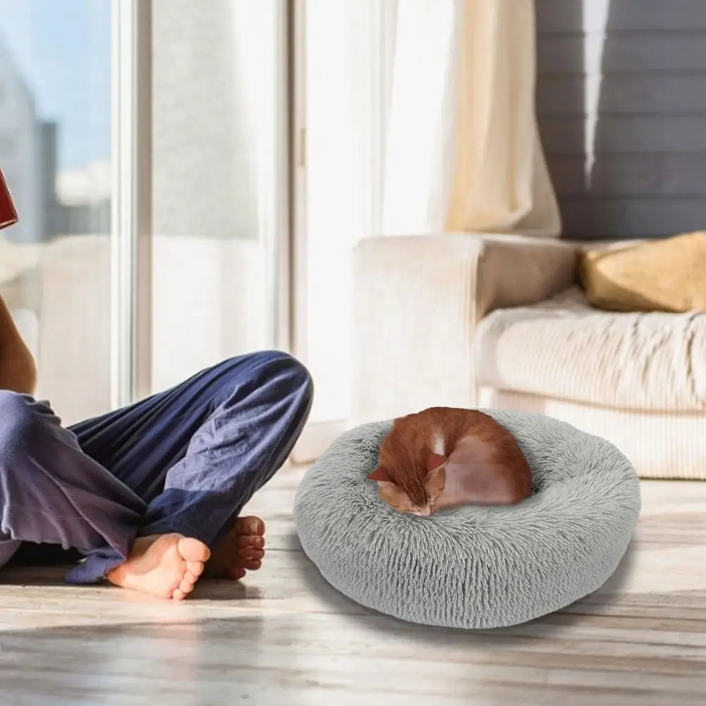Washable Heated Cat Bed with USB