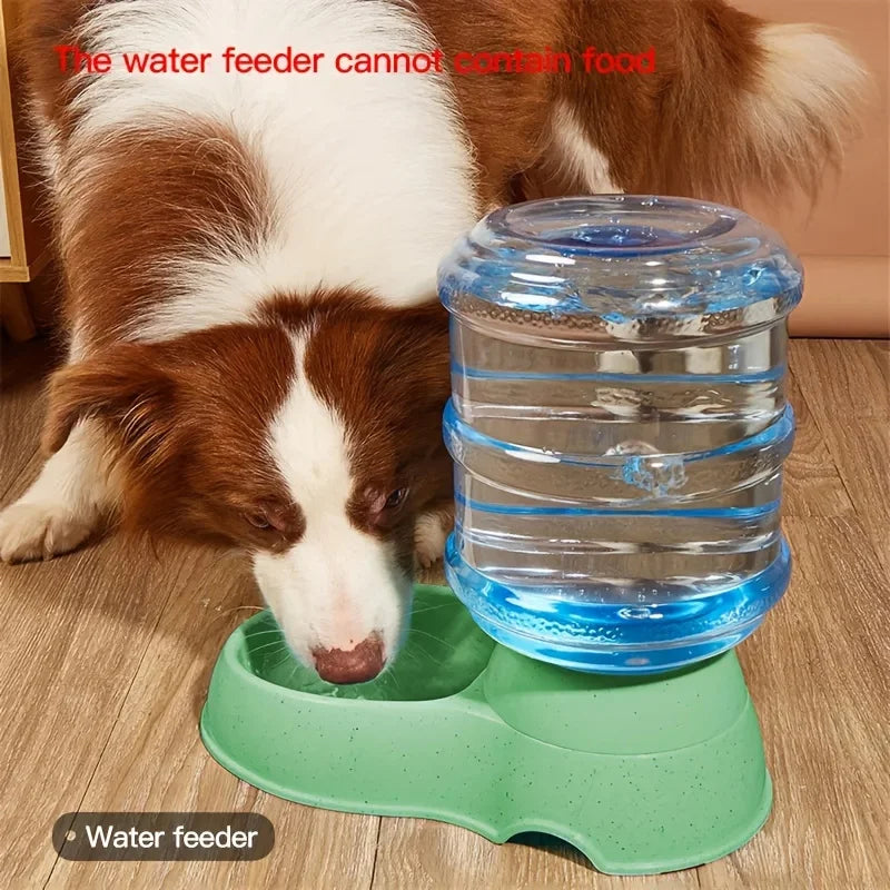 Pet dog and cat water feeding and feeder  can be large