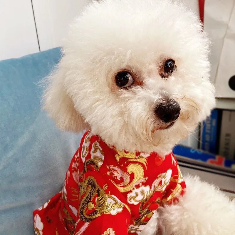 Chinese Style Dog Clothes: New year Gift
