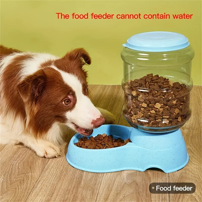 Pet dog and cat water feeding and feeder  can be large