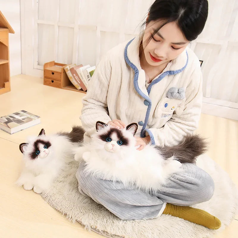 50CM Simulated Ragdoll Cat Plush Toys