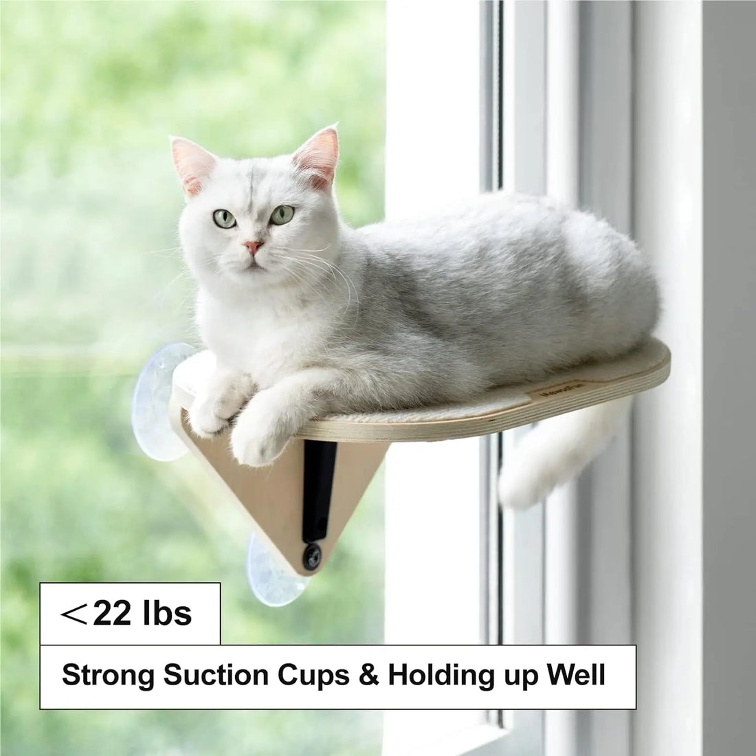 Window Mounted Cat Bed for Indoor Cats
