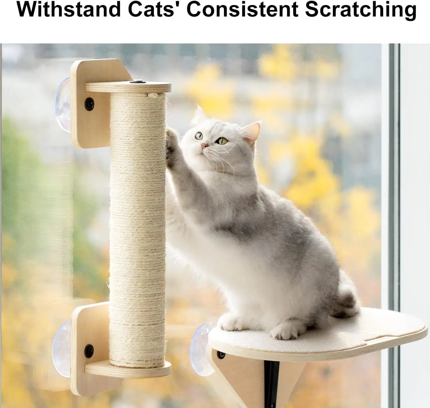 Window Mounted Cat Bed for Indoor Cats