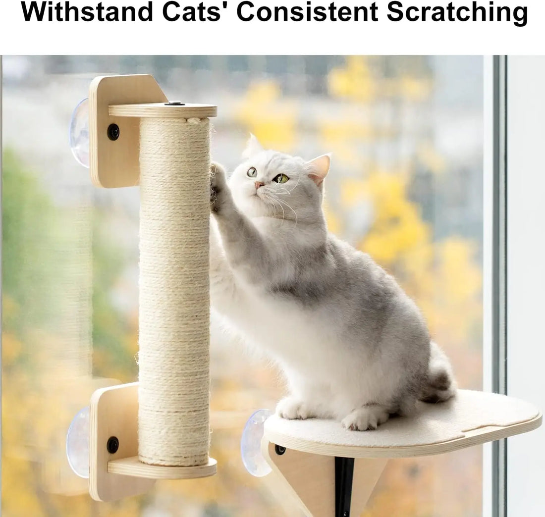 Window Mounted Cat Bed for Indoor Cats