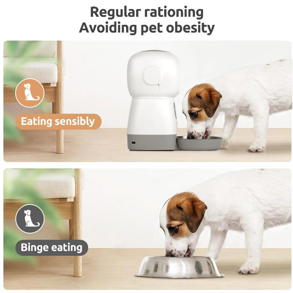 3.5L Automatic Pet Feeder Smart Food Dispenser For Cats Dogs