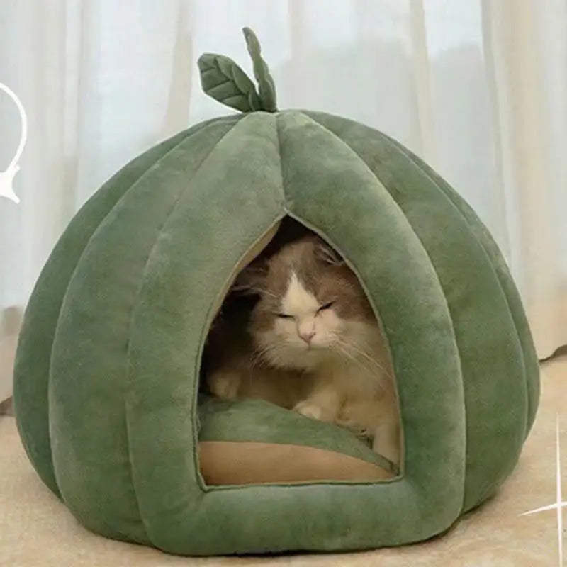 Enclosed Pumpkin Cat Bed for Winter