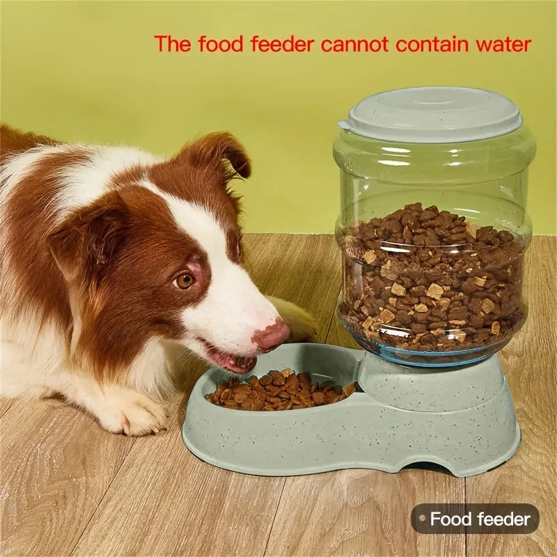 Pet dog and cat water feeding and feeder  can be large