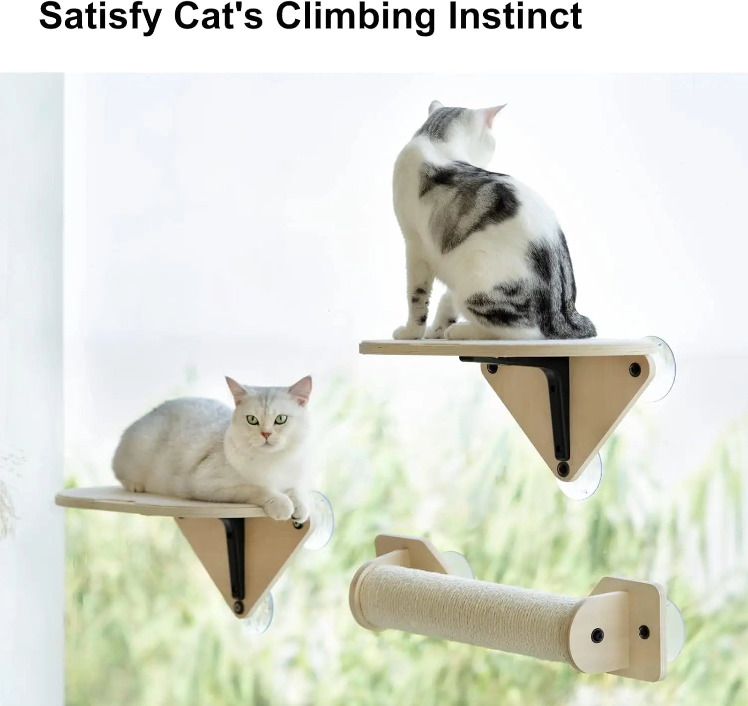Window Mounted Cat Bed for Indoor Cats