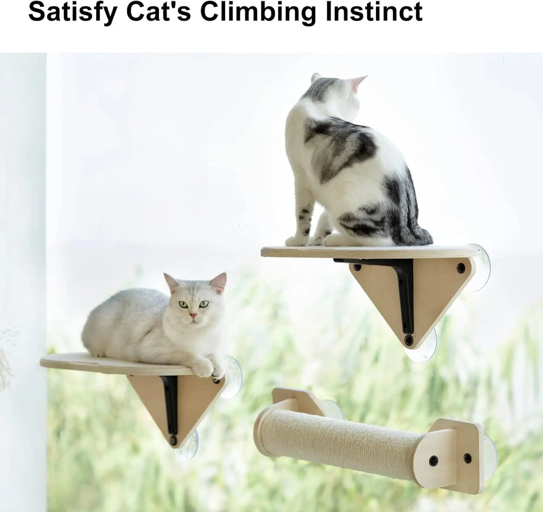 Window Mounted Cat Bed for Indoor Cats