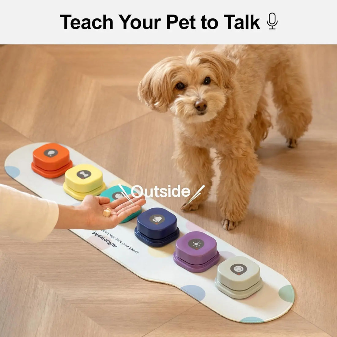 Mewoofun Voice Recording Button Pet Toys