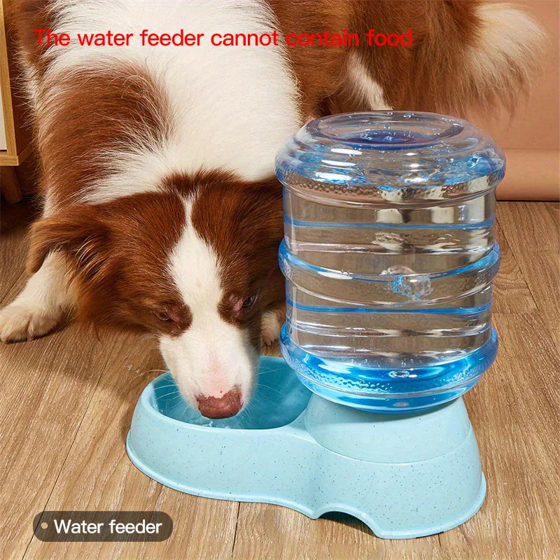 Pet dog and cat water feeding and feeder  can be large