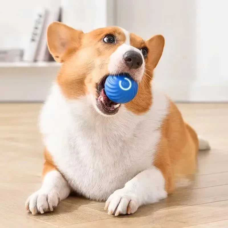 1pcs Dog Toys Intelligent Gravity Jump Ball