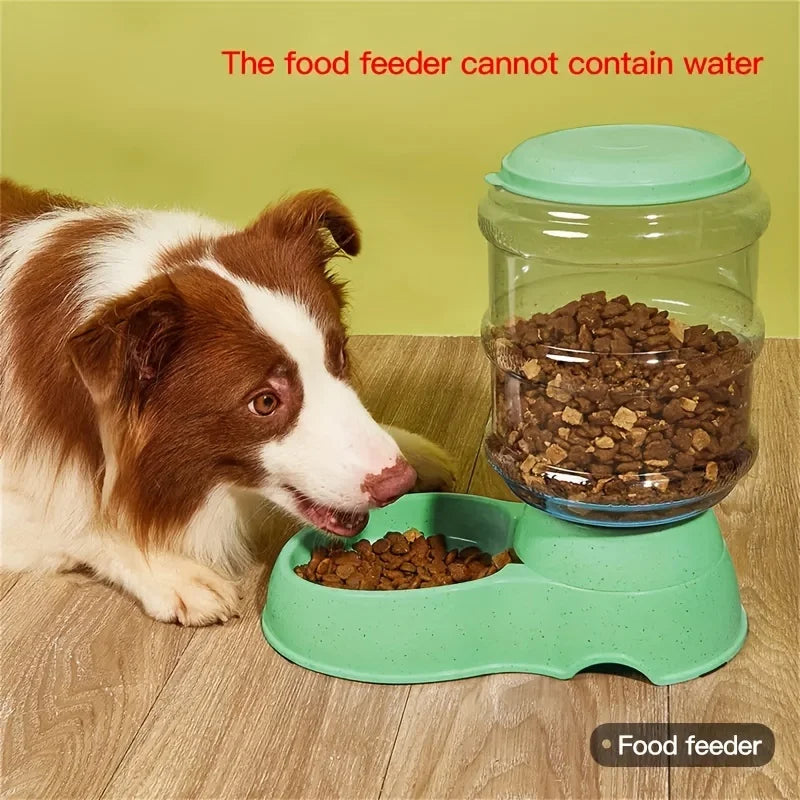 Pet dog and cat water feeding and feeder  can be large