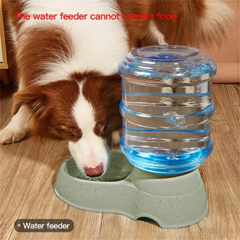 Pet dog and cat water feeding and feeder  can be large