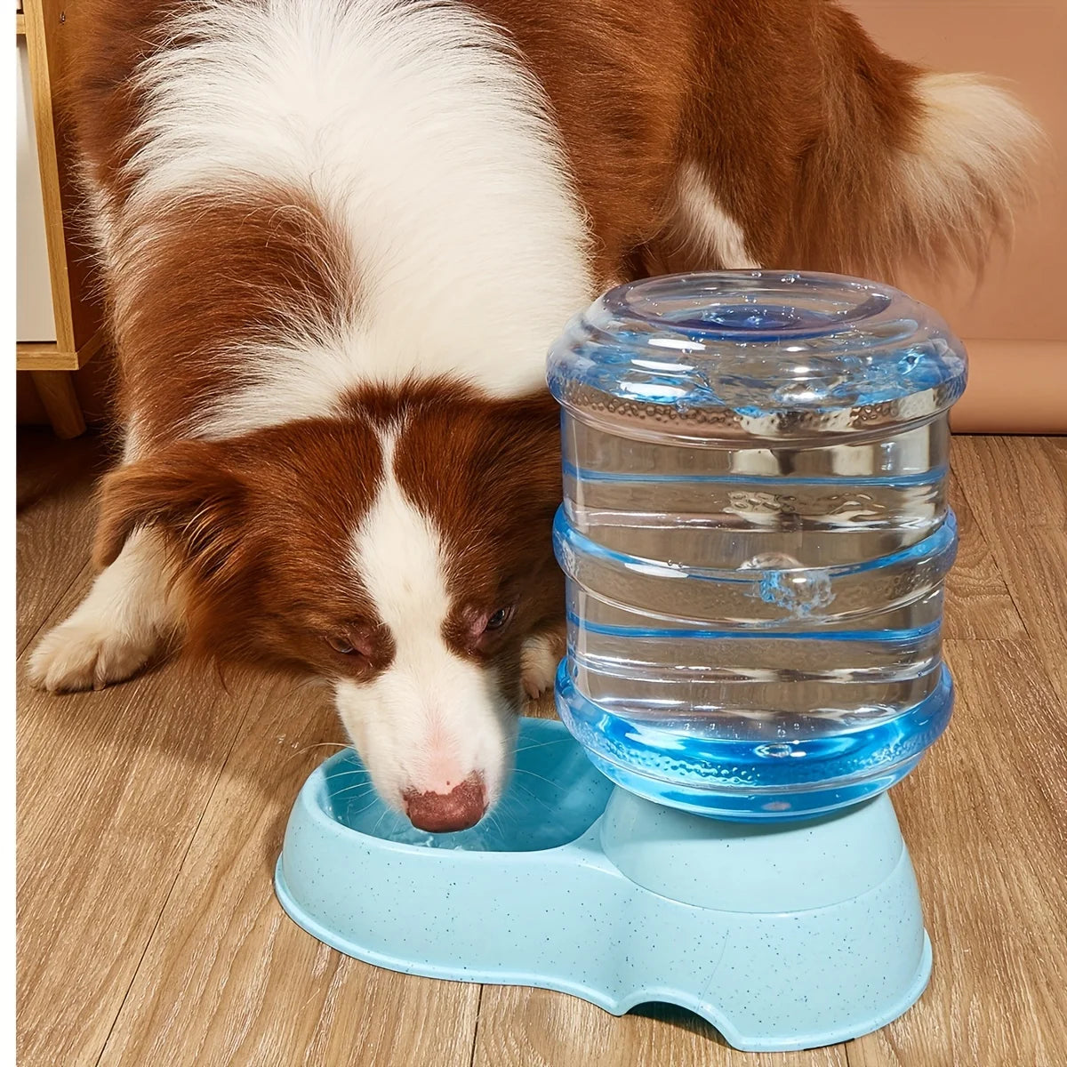 Pet dog and cat water feeding and feeder  can be large