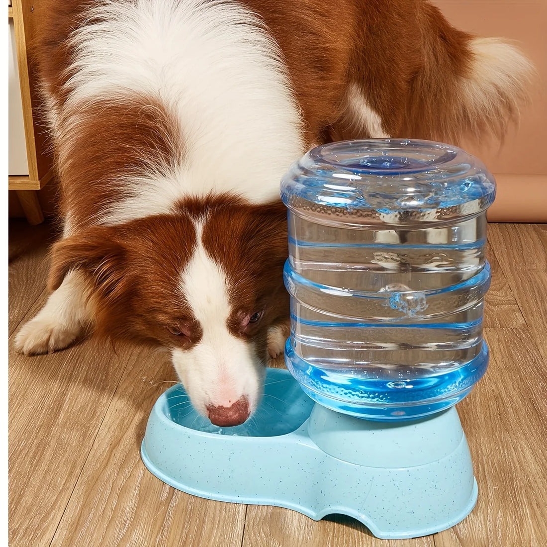 Pet dog and cat water feeding and feeder  can be large